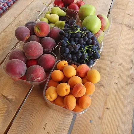 Jaffa